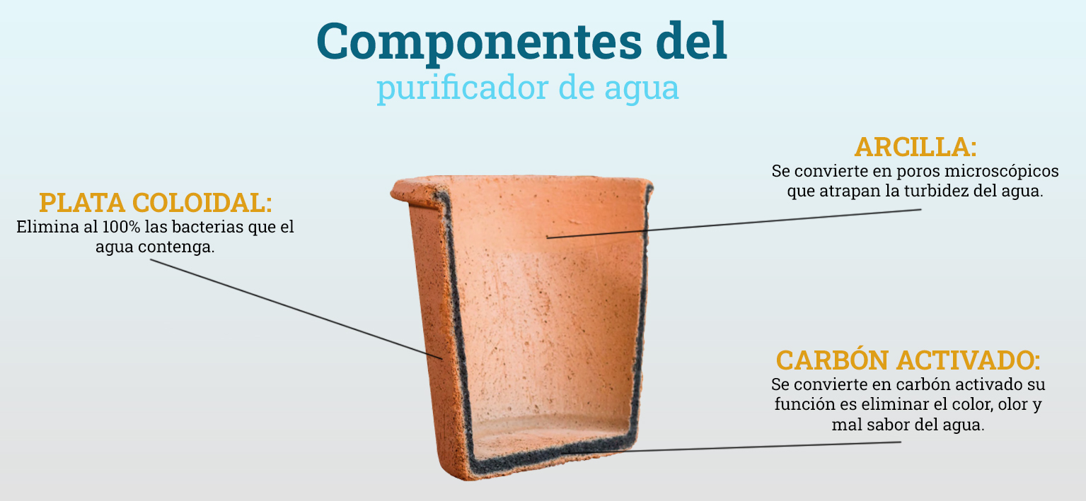 COMPONENTES