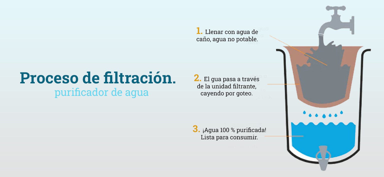 PURIFICACIÓN PROCESO ESPAÑOL