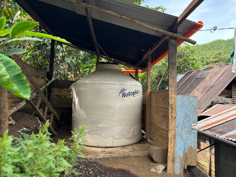 WhatsApp Image 2025-05-10 at 4.13.19 PM (1)