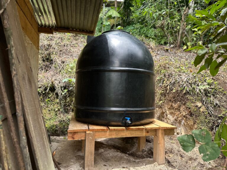 WhatsApp Image 2025-05-10 at 4.13.49 PM